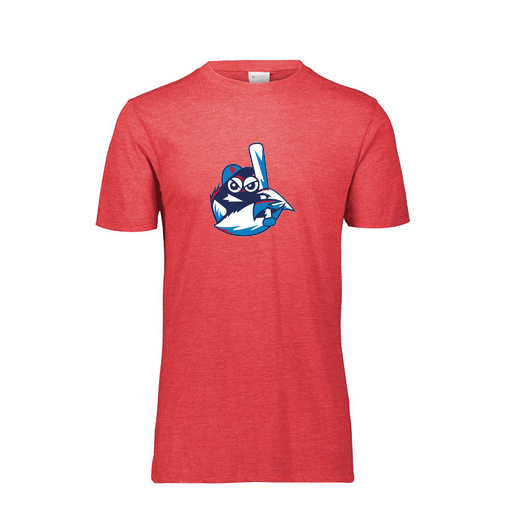 [FTSCUBRD-AS-LOGO3] Decker Men's Tri-Blend T-Shirt - Short Sleeve (Adult S, Red, Logo 3)